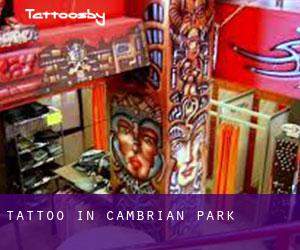 Tattoo in Cambrian Park