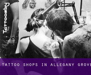 Tattoo Shops in Allegany Grove