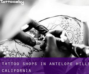 Tattoo Shops in Antelope Hills (California)