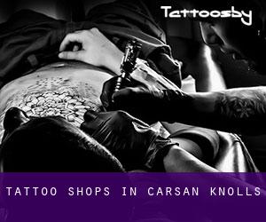 Tattoo Shops in Carsan Knolls