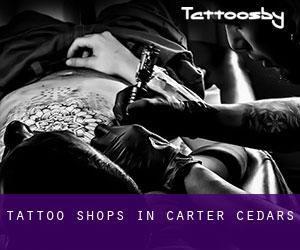 Tattoo Shops in Carter Cedars
