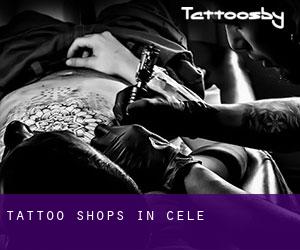 Tattoo Shops in Cele